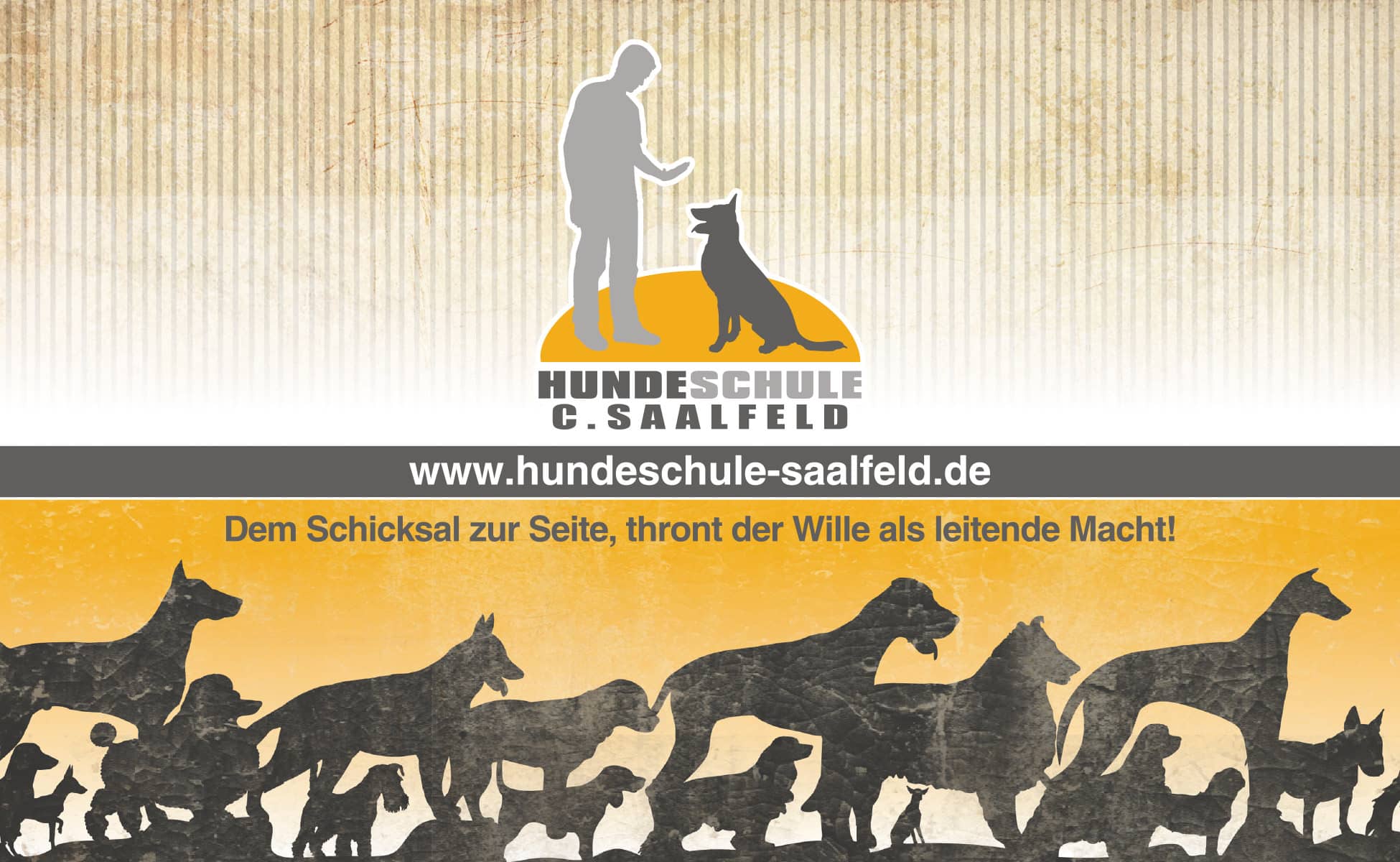 Einzelstunden - Hundeschule Saalfeld