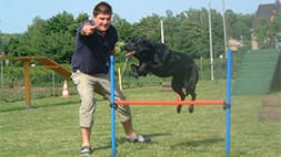 Herausforderungen meistern