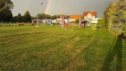 Hundetraining in Halle & Saalekreis
Beste Hundetrainingausbildung für Ihren Hund - Hundeschule Saalfeld